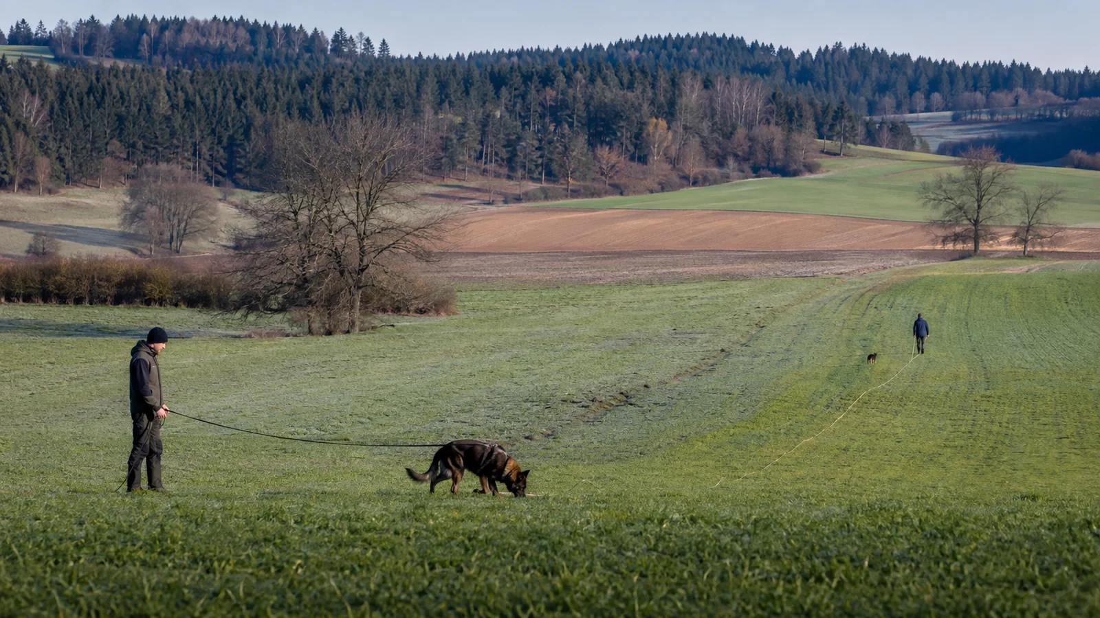 Zwei Hund-Mensch-Teams bei unterschiedlicher Fährtenarbeit